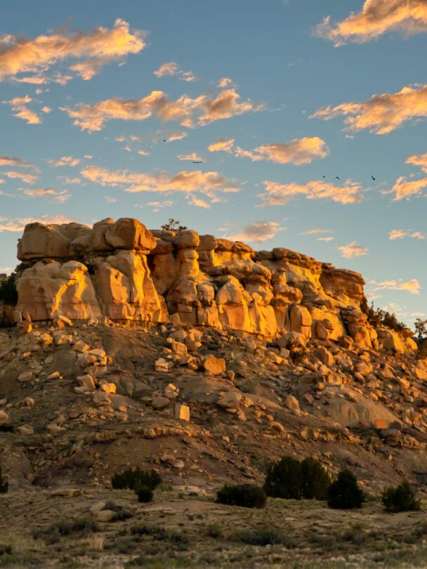 Rock climbing in New Mexico.