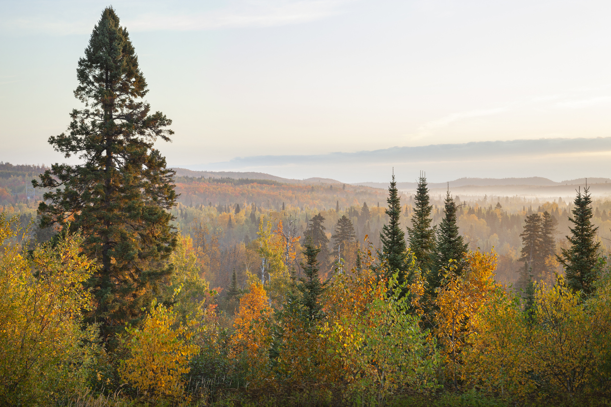 Sawtooth Ridge in Minnesota.