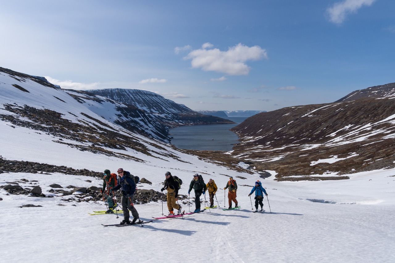 A group of skiers skinning to summit