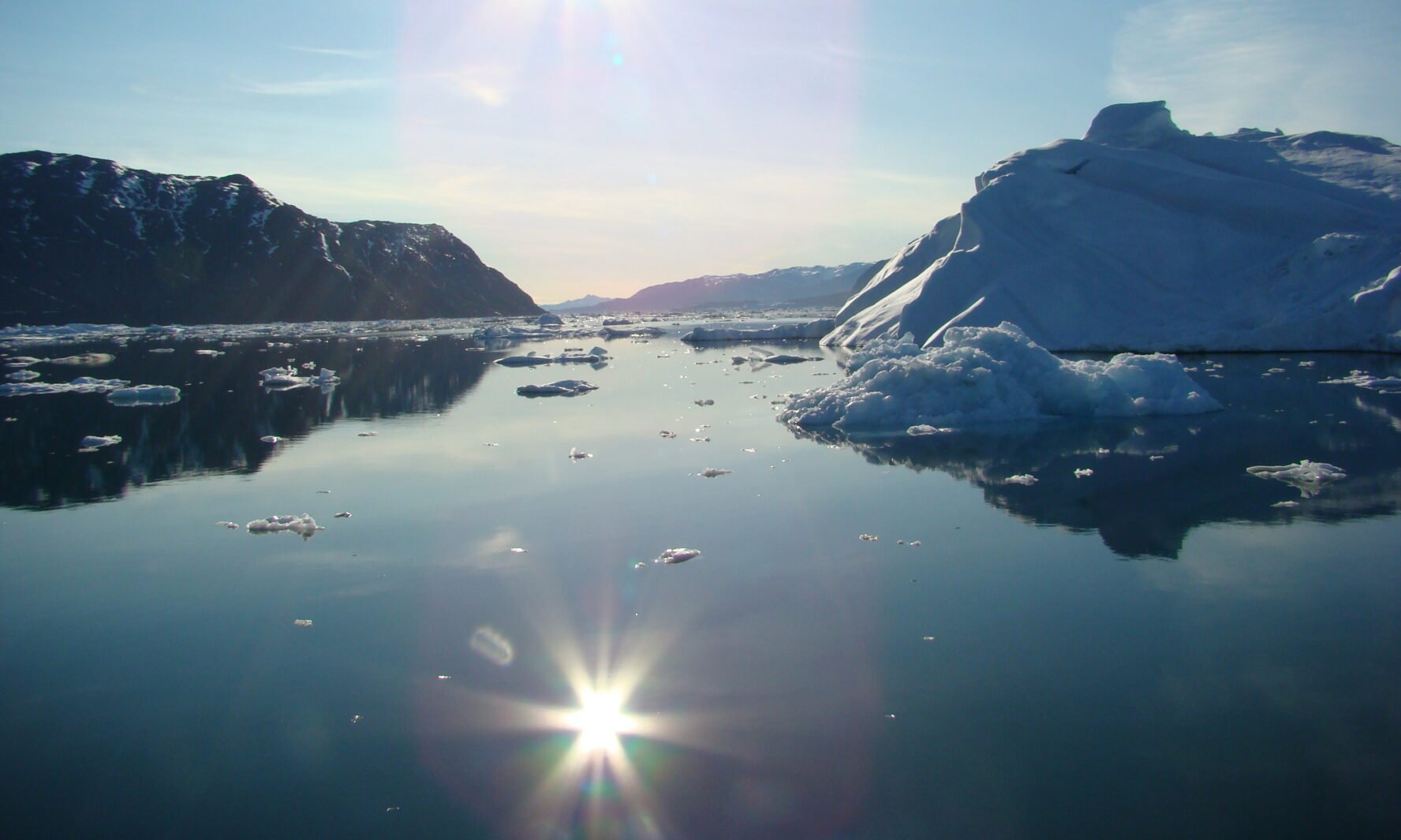 Icebergs embellishing the sea