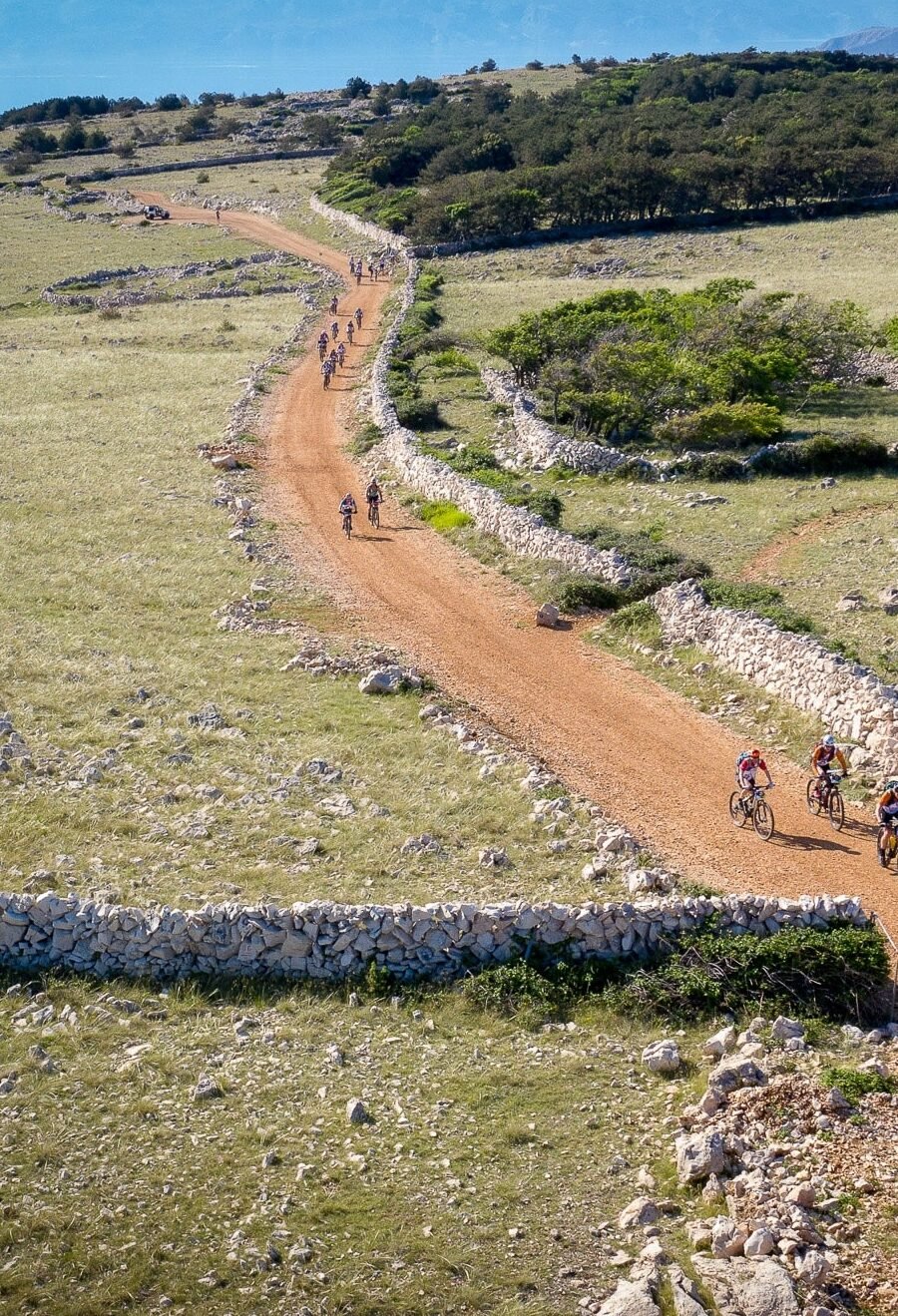 Biking along a macadam trail bordering with Dalmatian drywall in the outback