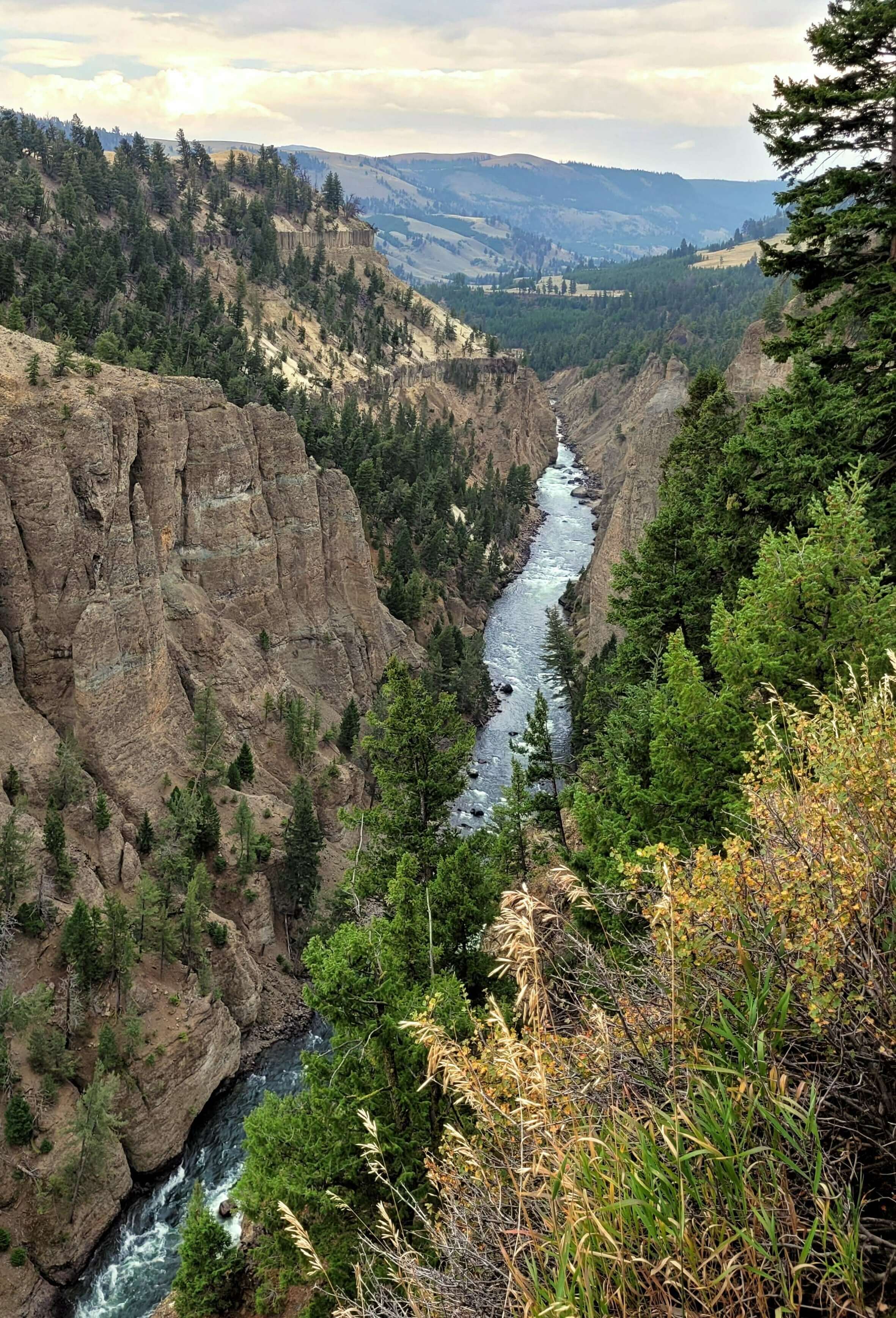 Colorful autumnal scenery around a canyon in Yellowstone