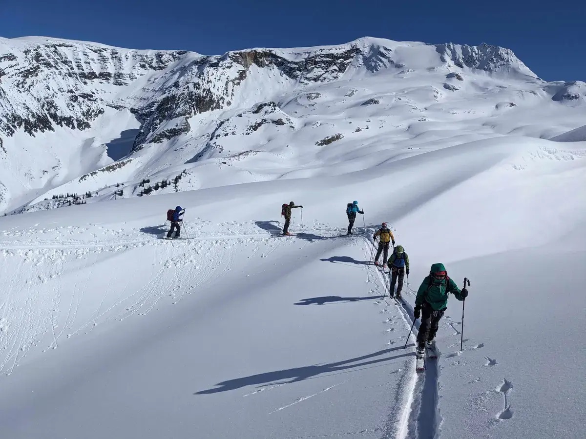 Golden skiers backcountry