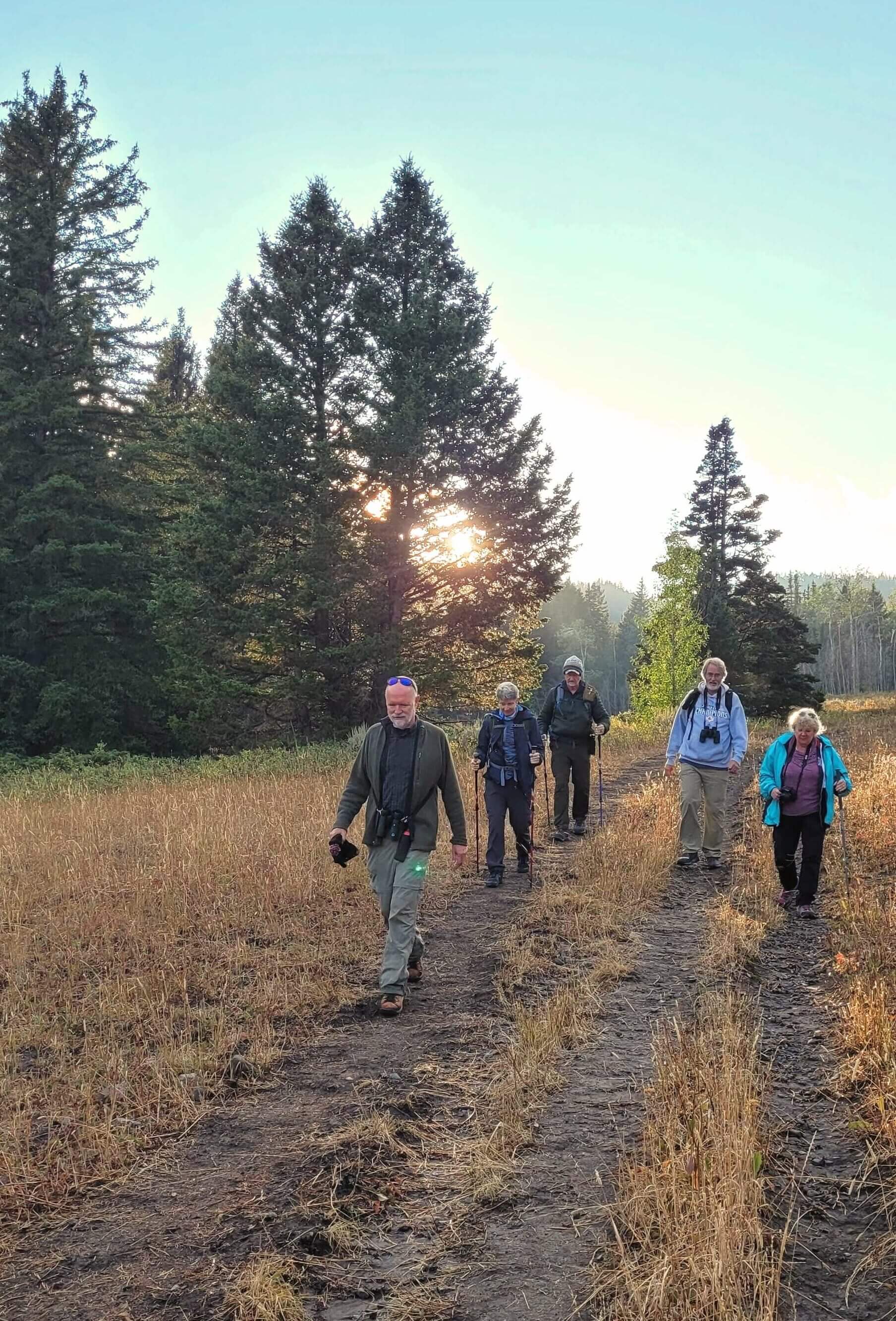 A group of hikers making their way through Yellowstone woods during a brisk fall day