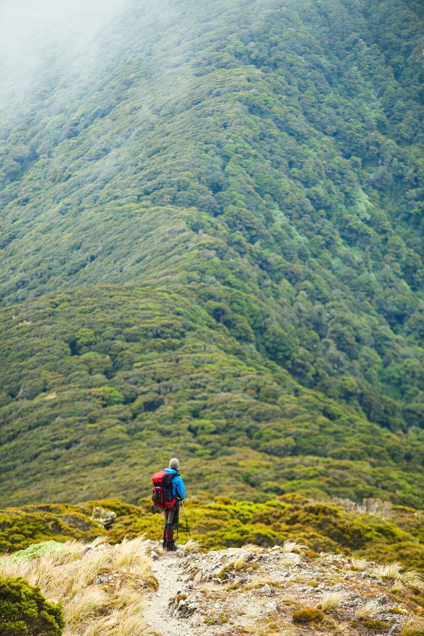 hiking trip nz