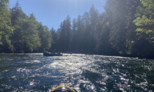 The McKenzie River is beautiful and very cold.