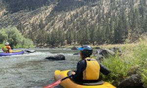 The Columbia Rivers basalt cliffs.