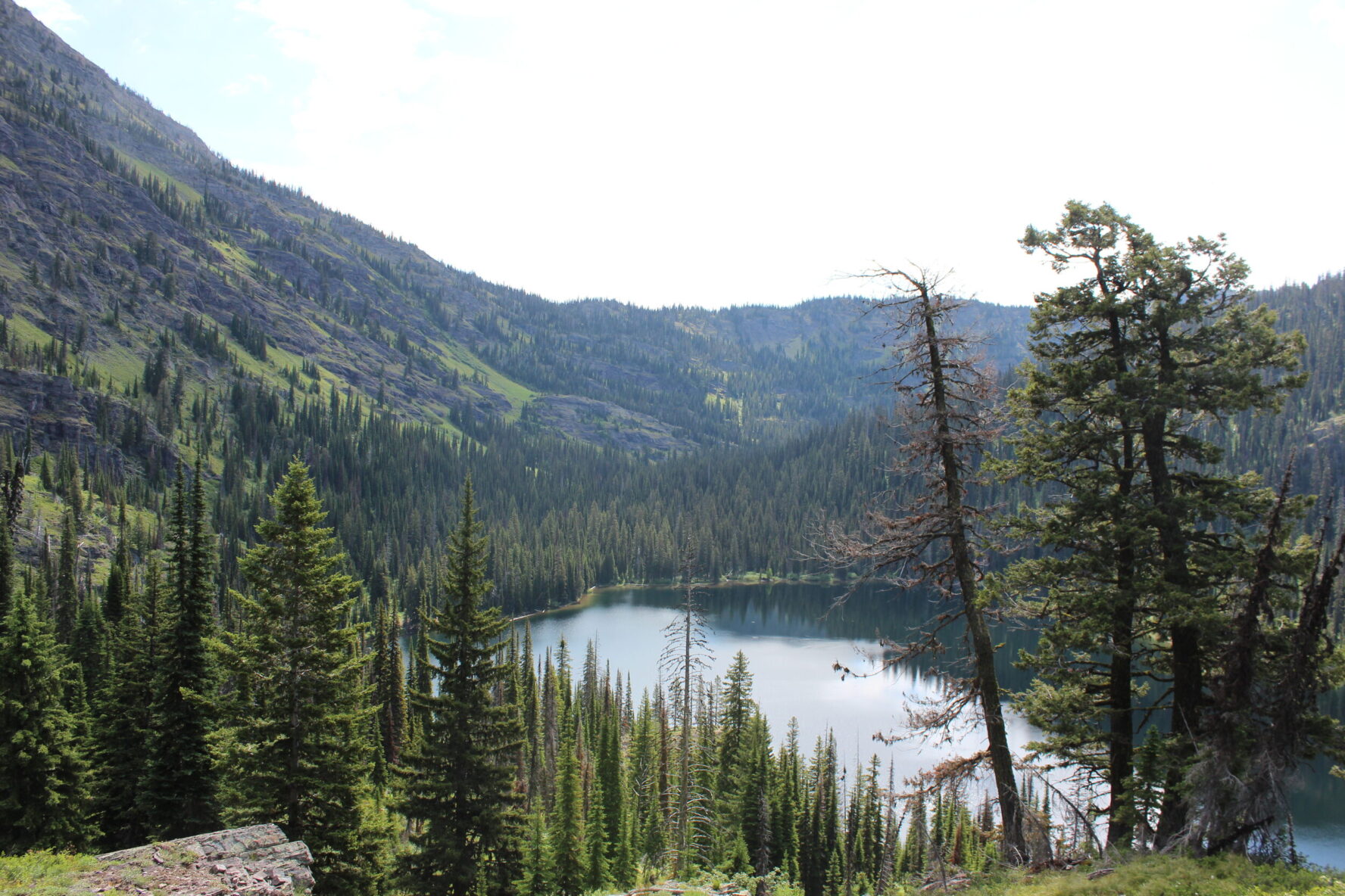 Panoramic view of Jenny lake and tall trees in Whitefish, Montana