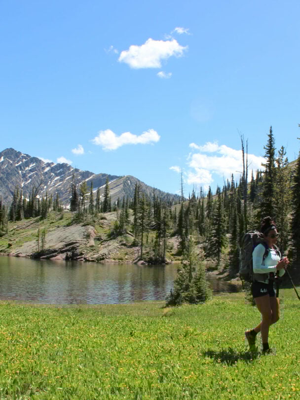 A group of women and dogs in Montana mountains.