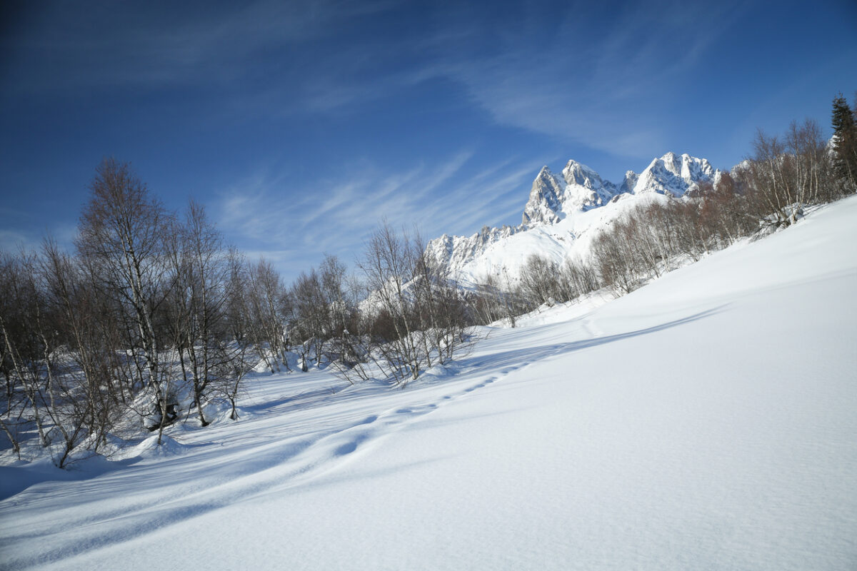 Powder in Mestia, Georgia.
