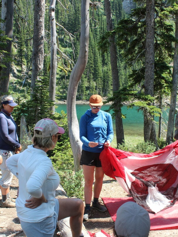 A group of women and dogs in Montana mountains.