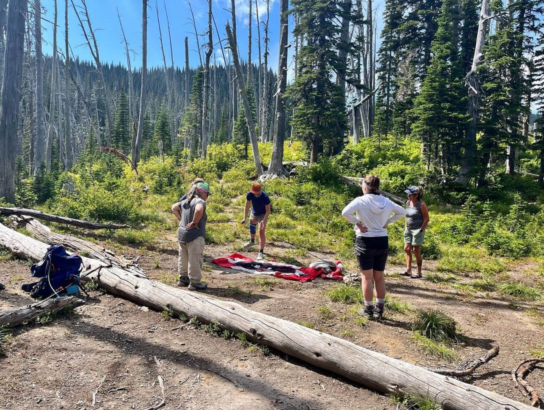 Four hikers setting up a tent