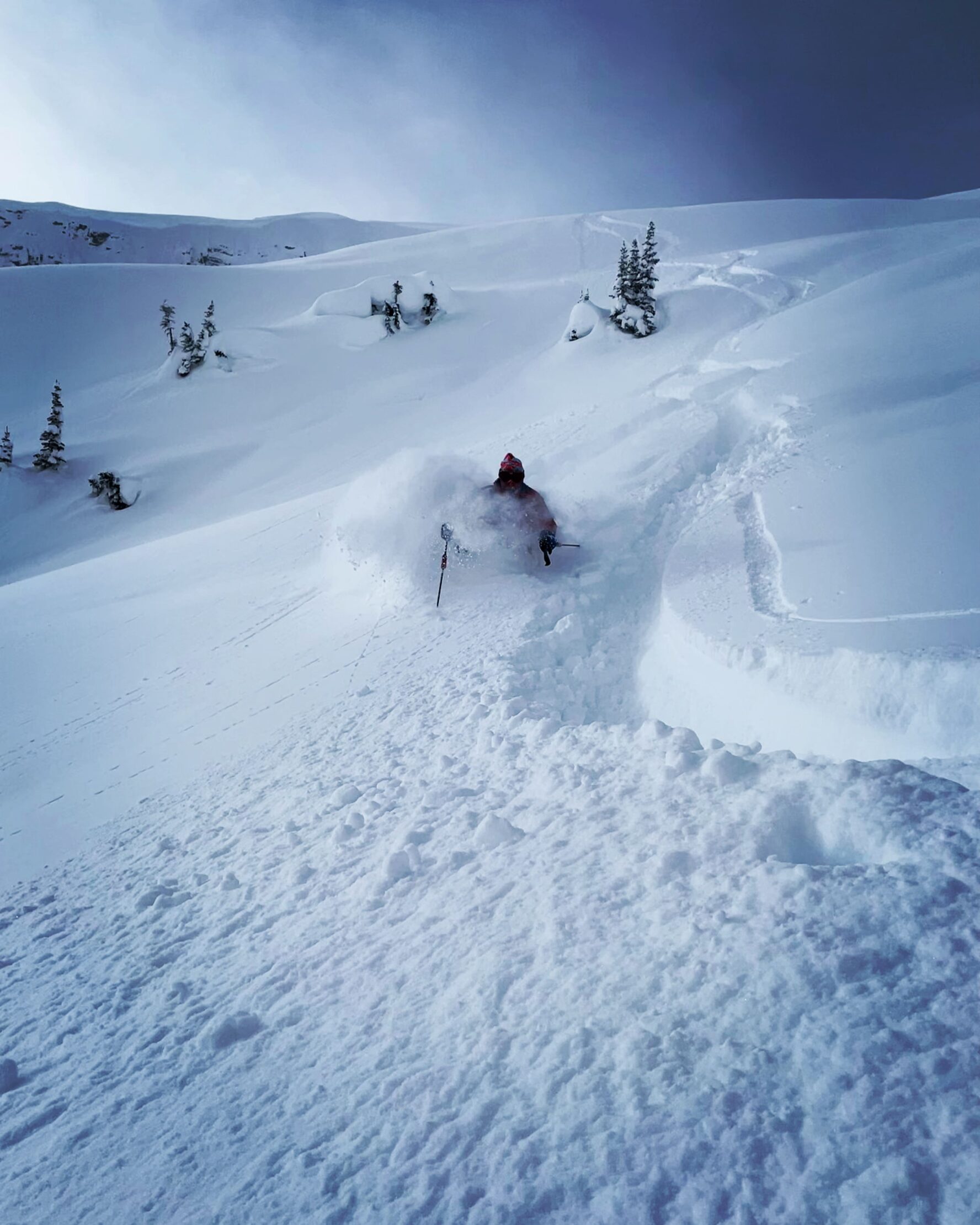 Skier in Mestia