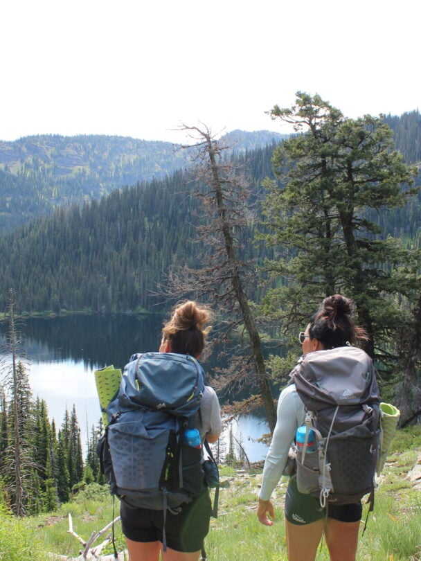 A group of women and dogs in Montana mountains.