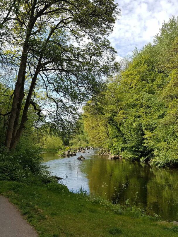 Cycling tour along the Guinness Way near Dublin, Ireland.