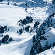 Skier shredding some powder snow on the backside of Grand Targhee