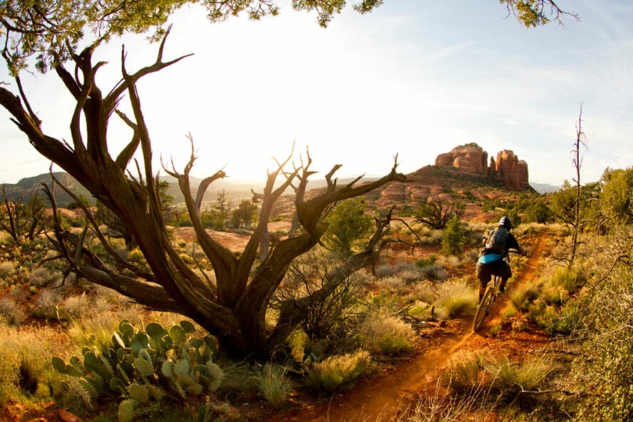 Mountain biker following a red dirt trail in Coconino National Forest, Sedona.