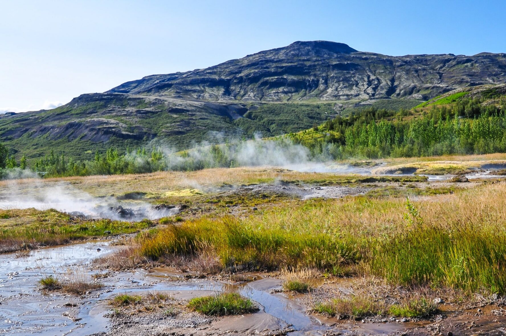 Steamy rivers and geysirs in front of a mountain