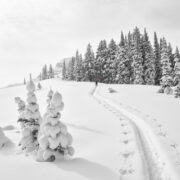 Backcountry skier skinning along a ridge