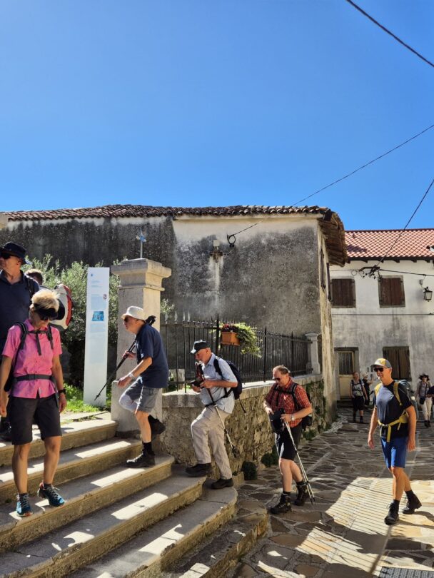 Views above Bled Lake