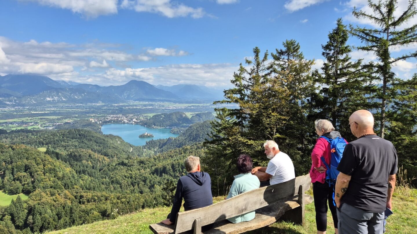 Views above Bled Lake