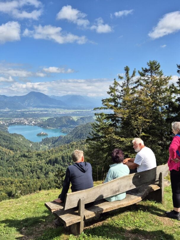 Views above Bled Lake