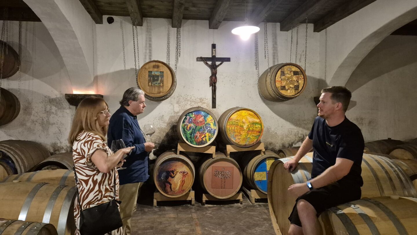 Wine tasting Goriska