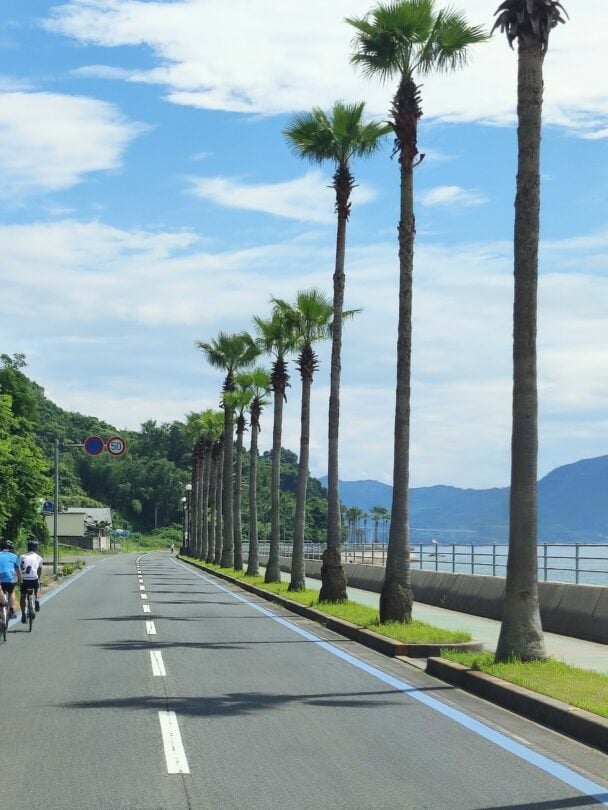 Cycling along the celebrated Shimanami Kaido between Honshu and Shikoku.