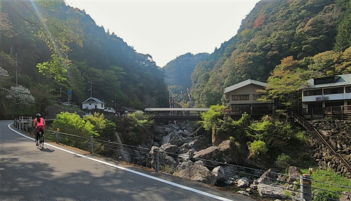 A cyclist riding their bike through the gorge on the island of Shikoku.