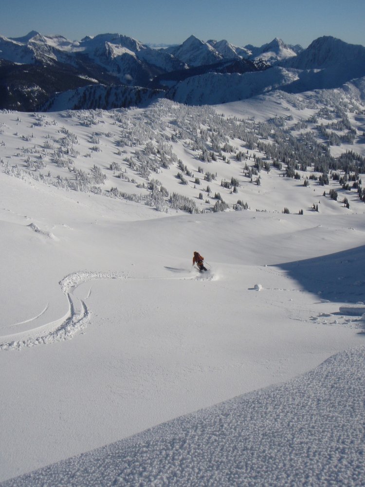 A backcountry skier descending a gradual bowl slope at Mt Baker with lots of conifer trees in the distance.