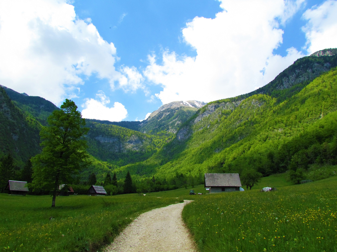 A path cutting through the Voje valley surrounded by traditional dwellings.