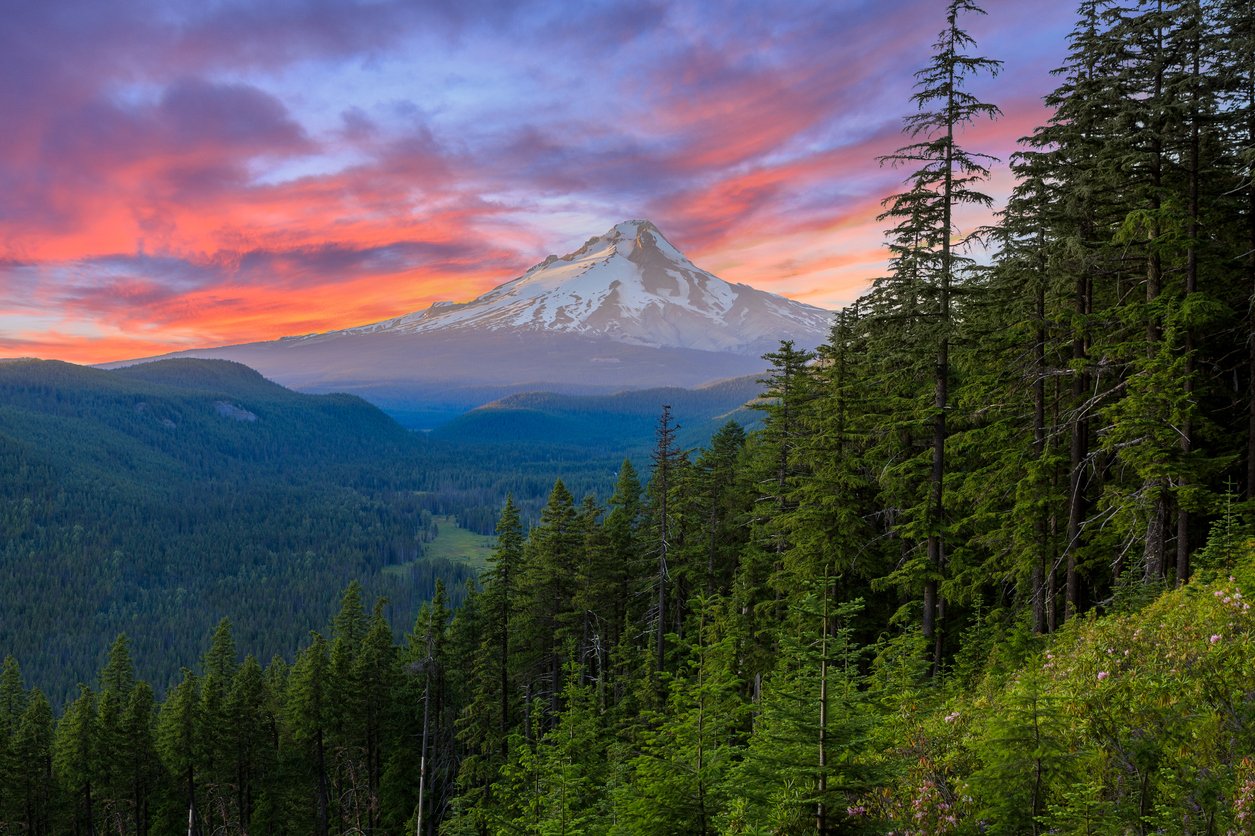 View of Mt Hood in the distance in summer, Oregon.
