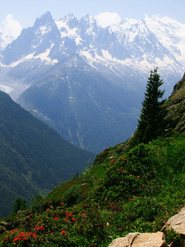 A man hiking on the famous Tour du Mont Blanc near Chamonix, France.