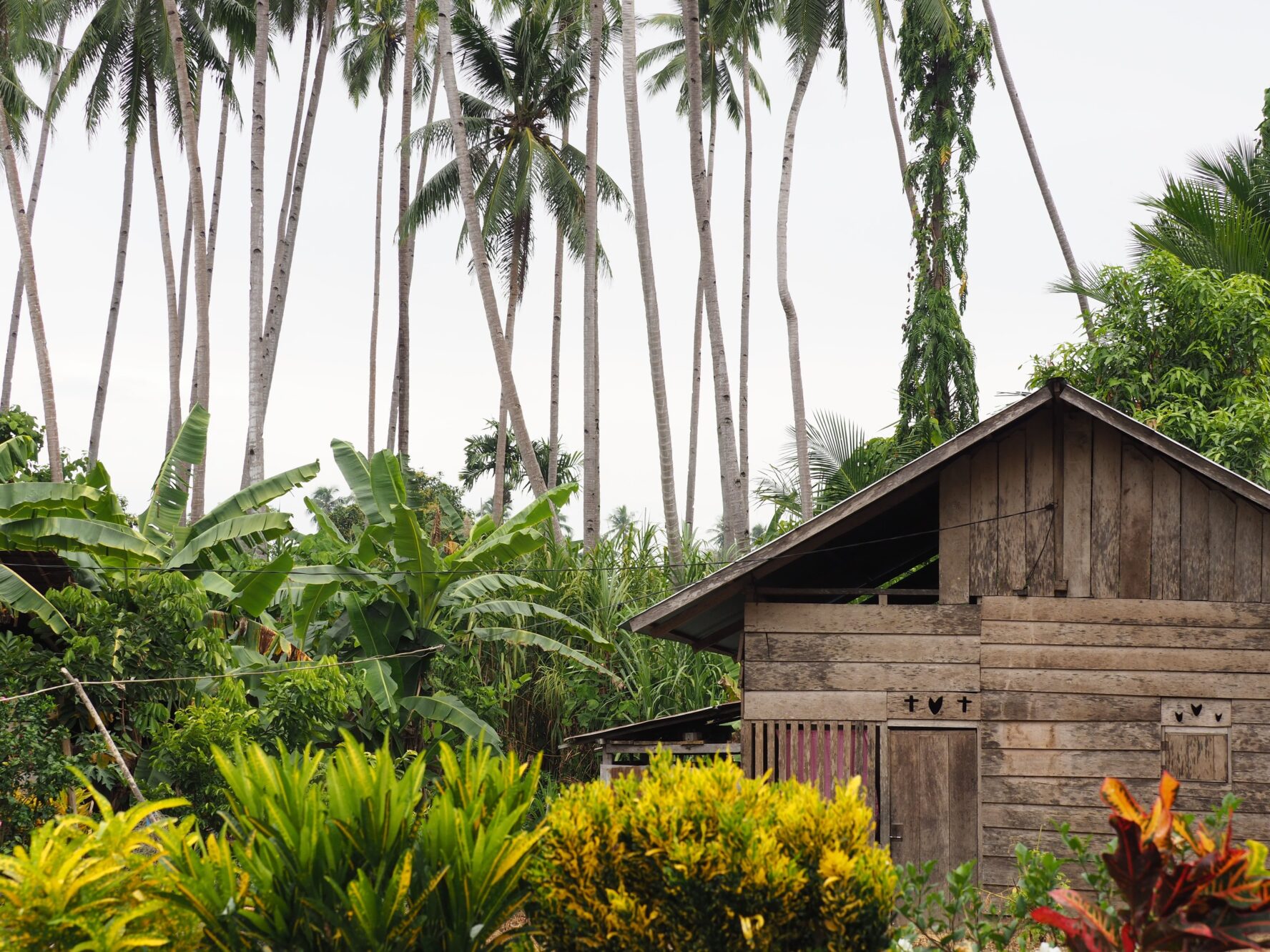 Raja Ampat accommodation