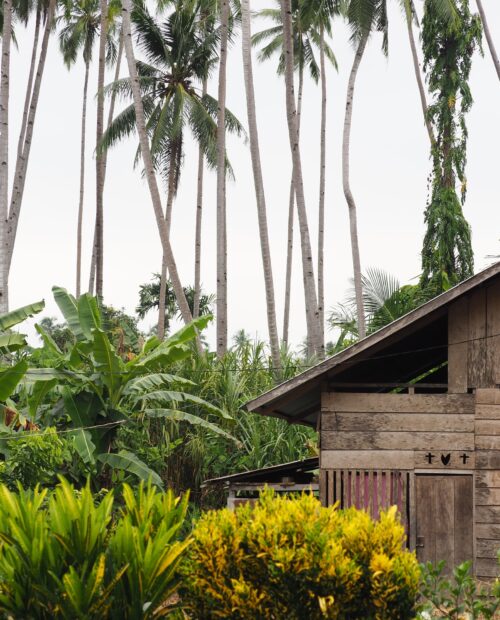 Guided Adventures in Raja Ampat Islands | 57hours