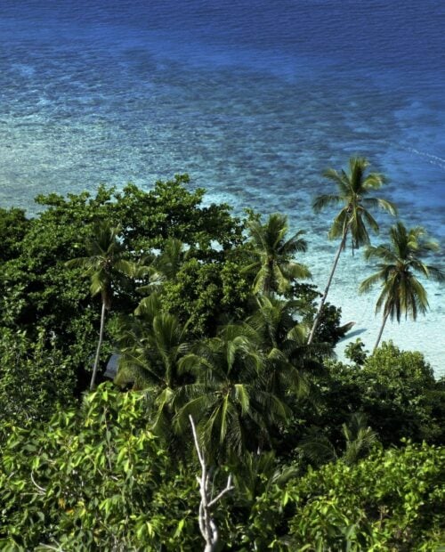 Guided Kayak & Multisport Adventure in Raja Ampat 57hours