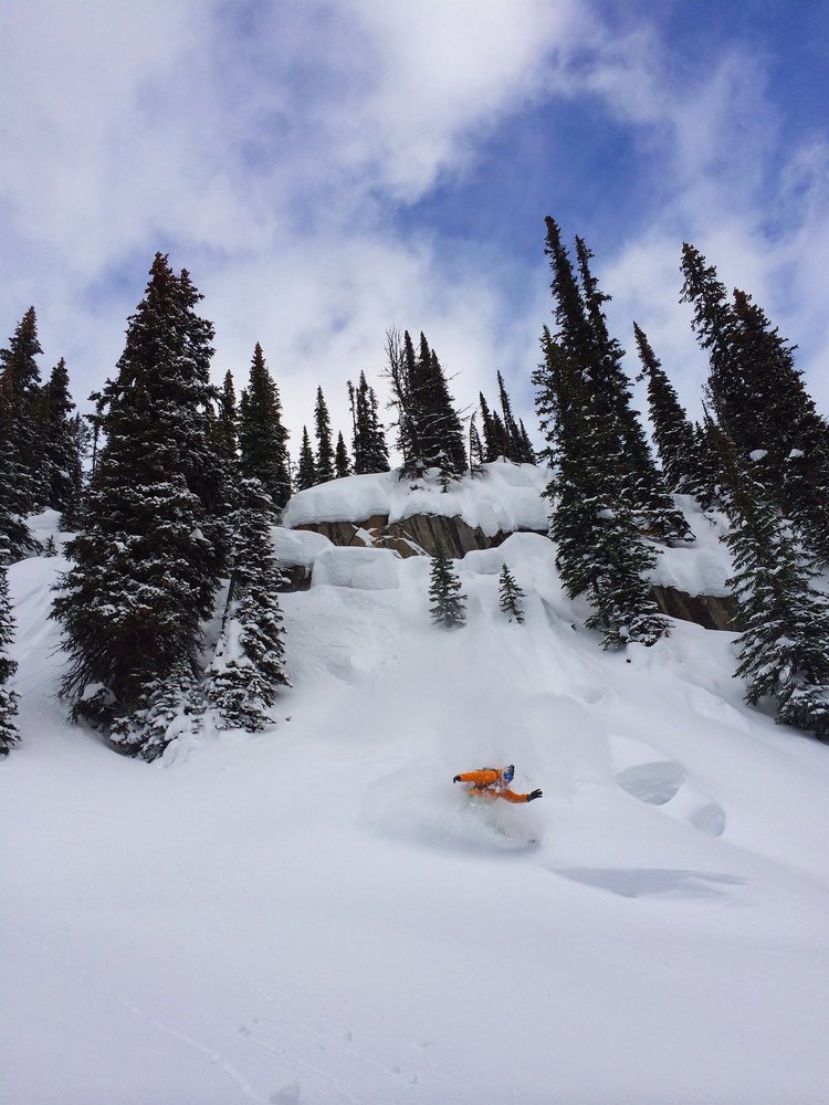 A skier is shredding extra-powdery terrain at Mt Baker.