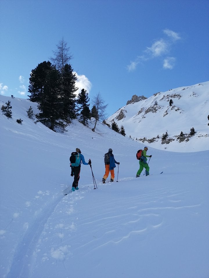 Three backcountry skiers skinning a moderate slope to find slopes with greatest altitude drops around Ortler in South Tyrol, Italy.