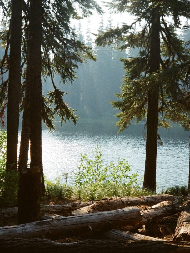 Pacific Crest Trail guided tour