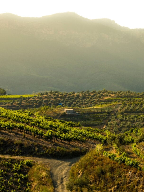 All-women hiking tour and wine tasting in Priorat, Catalonia, Spain.