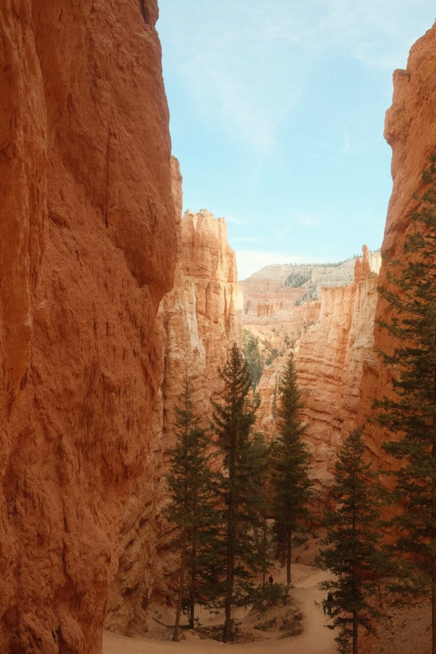 The erosional forces have shaped the colorful limestone rock into bizarre shapes, including slot canyons and hoodoos