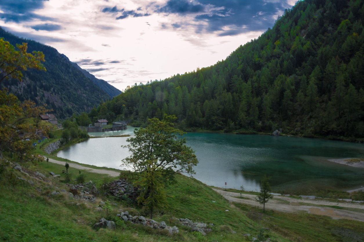 Alpine lake of Quarazza, surrounded by conifer woods.