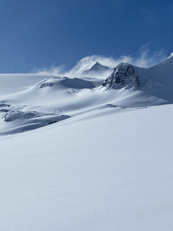 group skiers bow yoho