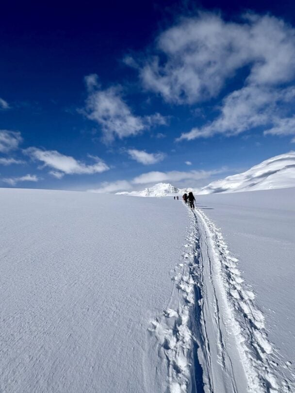 group skiers bow yoho