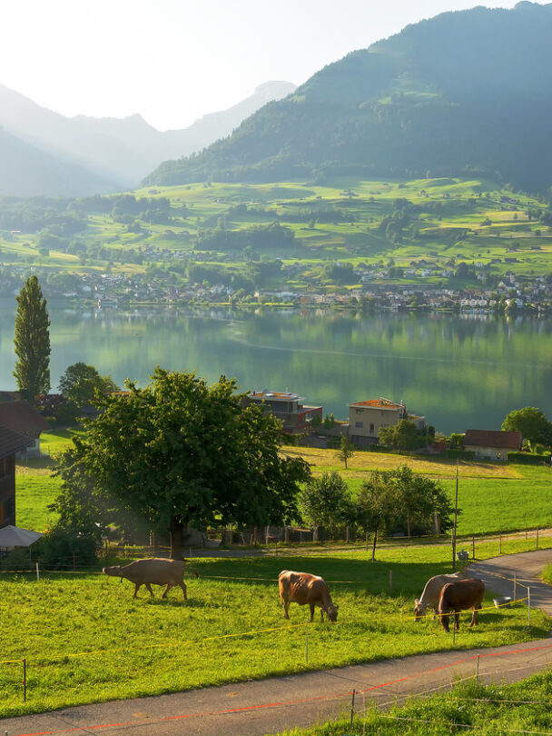 Guided hiking tour in the Engadin Valley, Switzerland