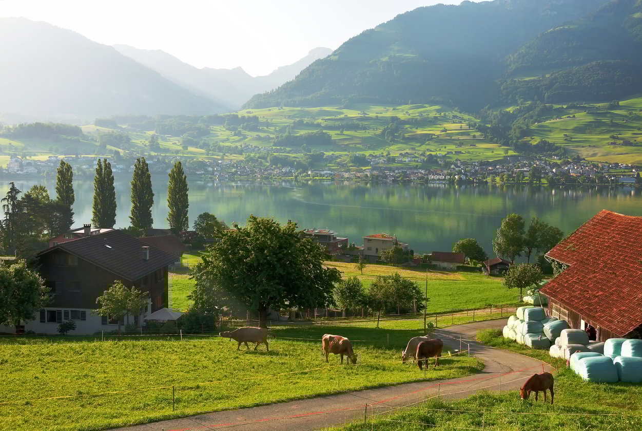 Dawn at Lake Sarnen