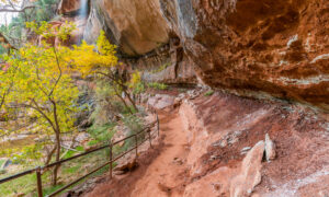 Rim above the Emerald Pools in Zion National Park