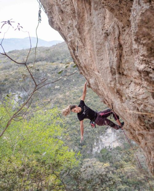 Guided rock climbing tour in Guadalcazar.