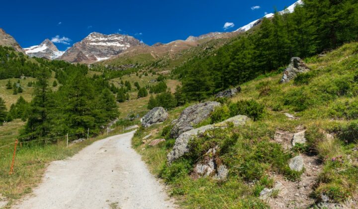 Hiking path along the final section of the Tour de Monte Rosa, surrounded by lofty peaks.