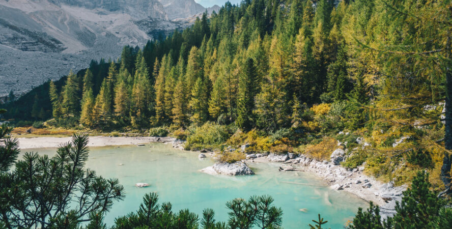 Dense forest surrounding Lago di Sorapis in the Dolomites